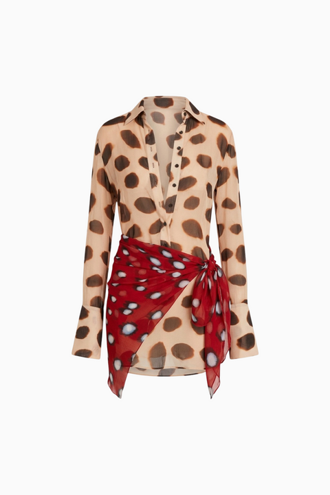 Sheer Polka Dot Long Sleeve Mini Dress