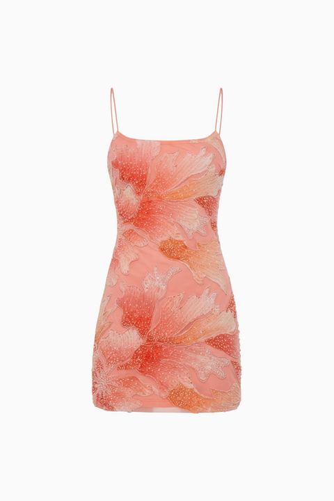 Papaya Abstract Print Mini Dress