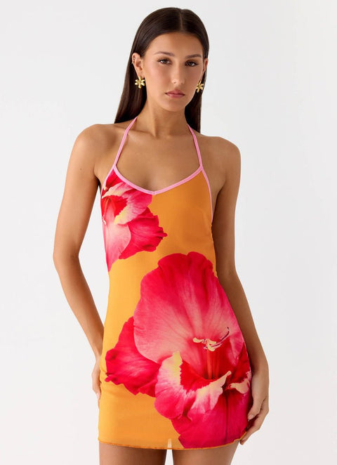 Yunia Dress ? | | S | Agnese Studios