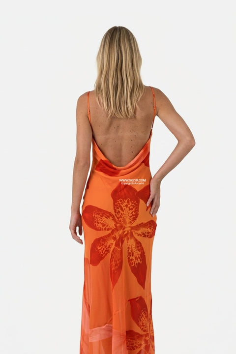 Peach Sheer Halter Maxi Dress