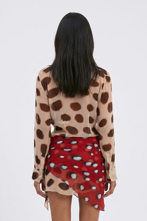 Sheer Polka Dot Long Sleeve Mini Dress