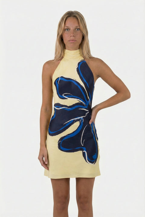 Rebecca Indigo Dress ?