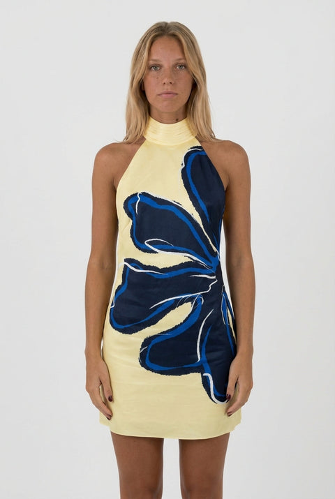 Rebecca Indigo Dress ?