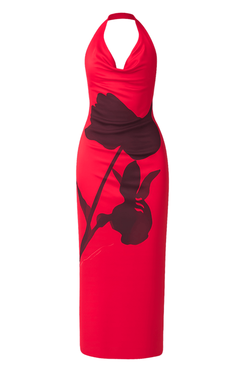 Cerisea Dress | | S | Agnese Studios