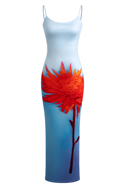 Dianora Elisse Dress | | S | Agnese Studios