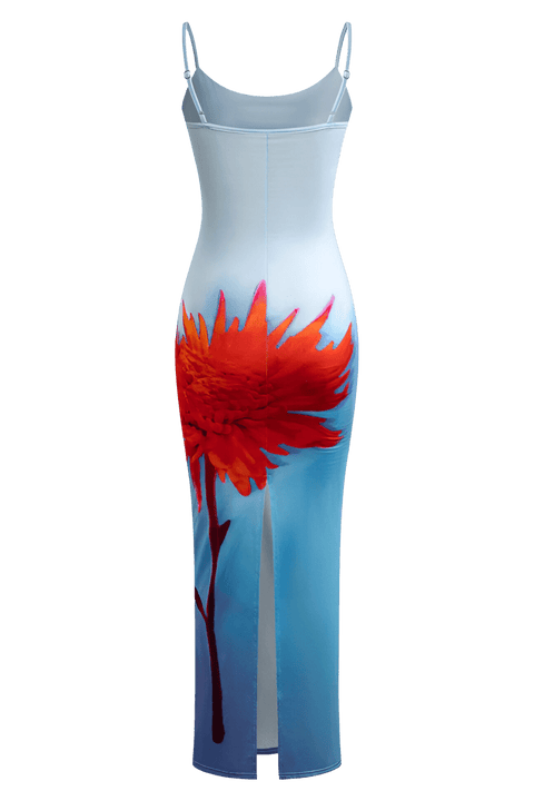 Dianora Elisse Dress | | S | Agnese Studios