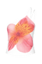 Evie Top | | S | Agnese Studios