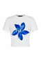 Fonira Top | | S | Agnese Studios