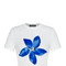 Fonira Top | | S | Agnese Studios