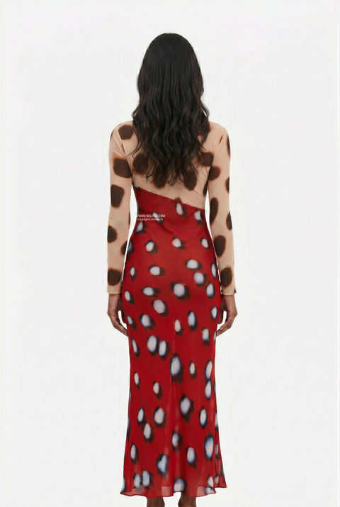 Mixed Print Sheer Long Sleeve Maxi Dress