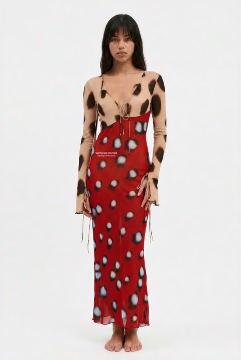 Mixed Print Sheer Long Sleeve Maxi Dress