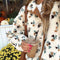 Maple Sherpa Jacket | | S | Agnese Studios
