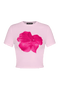 Mirlan Top | | S | Agnese Studios