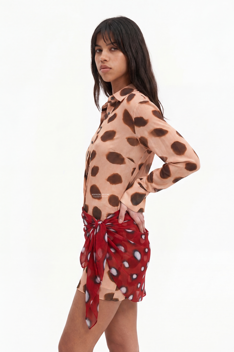 Sheer Polka Dot Long Sleeve Mini Dress