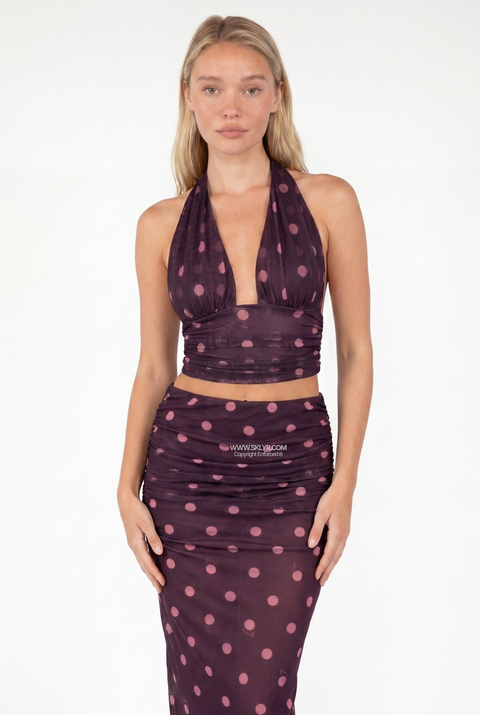 Mesh Polka Dot Halter Crop Top & Skirt Set
