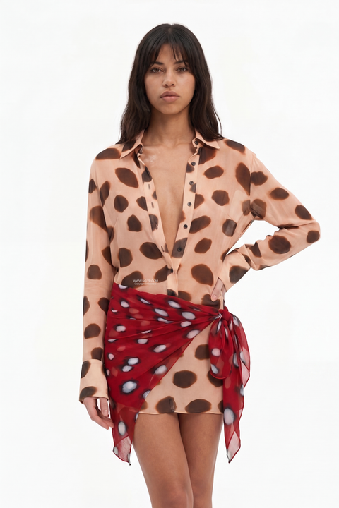 Sheer Polka Dot Long Sleeve Mini Dress
