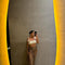 Rina Sancia Dress | | S | Agnese Studios