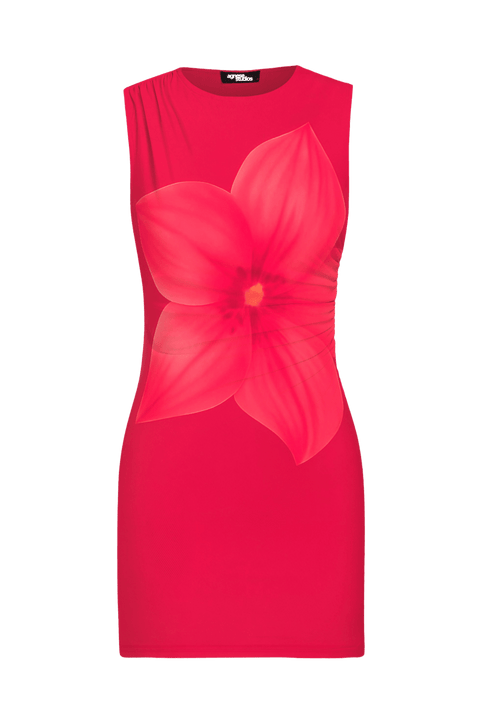 Simple Rose Dress | | XS/S | Agnese Studios