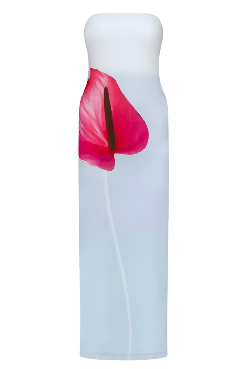 Titania Dress | | XS/S | Agnese Studios