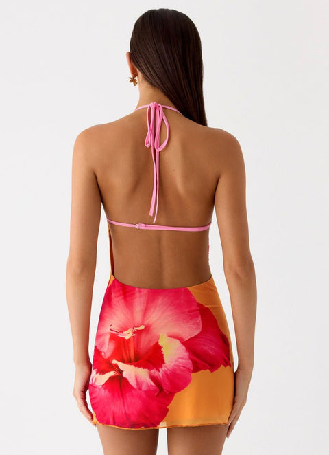 Yunia Dress ? | | S | Agnese Studios