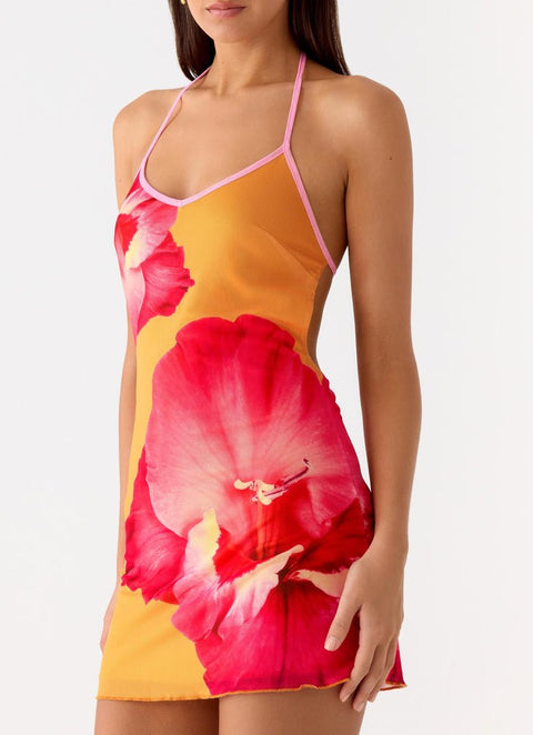 Yunia Dress ? | | S | Agnese Studios