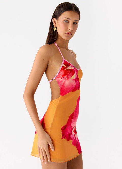 Yunia Dress ? | | S | Agnese Studios